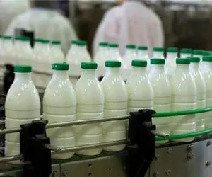 لبنیات ۵۰ تا ۶۰ درصد گران شد؛ اعلام جزییات