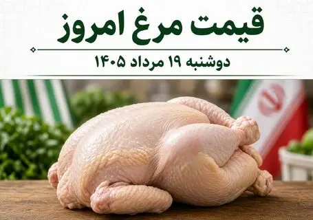 قیمت مرغ امروز دوشنبه 19 مرداد 1405 / مرغ گران میشود یا ارزان؟