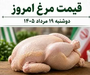 قیمت مرغ امروز دوشنبه 19 مرداد 1405 / مرغ گران میشود یا ارزان؟