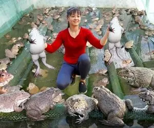 اینجا از قورباغه فرارین و اونجا خانومه توشون وول میزنه مثل نقل و نبات میخوره اه اه