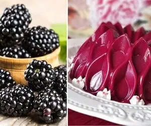 طرز تهیه دسر شاتوت بستنی / خوشمزه ترین دسر فوری تابستونی