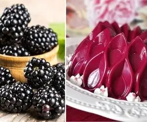 طرز تهیه دسر شاتوت بستنی / خوشمزه ترین دسر فوری تابستونی