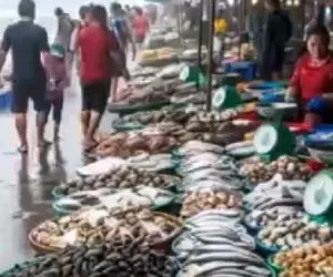 مستند کاوش؛ ماهیگیرا لب دریا ماهی هایی که گرفته بودنو حراج کردن دریا همشونو پس گرفت