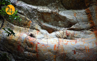 کشف نقاشی های تاریخی عصر یخبندان در جنگل های آمازون