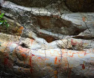 کشف نقاشی های تاریخی عصر یخبندان در جنگل های آمازون