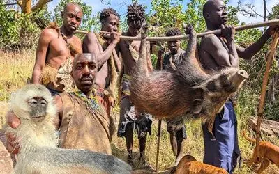کباب خوک؛ بربرهای برهنه تو صحرای آفریقا با چوب خوک شکار میکنن از گرسنگی نمیرن