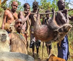 کباب خوک؛ بربرهای برهنه تو صحرای آفریقا با چوب خوک شکار میکنن از گرسنگی نمیرن