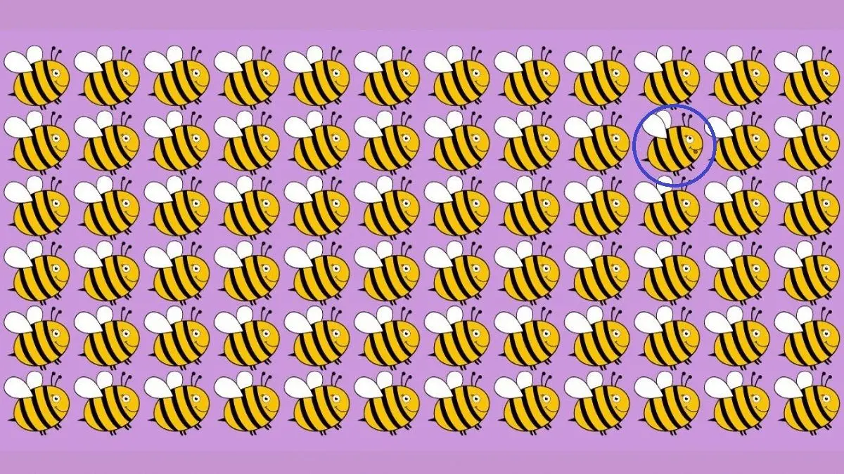 پاسخ-تست-بینایی-یافتن-زنبور-متفاوت