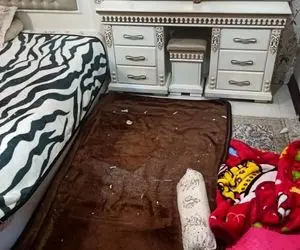 بازداشت آقای وکیل و 6 نفر از عاملان حمله به خانه او+فیلم