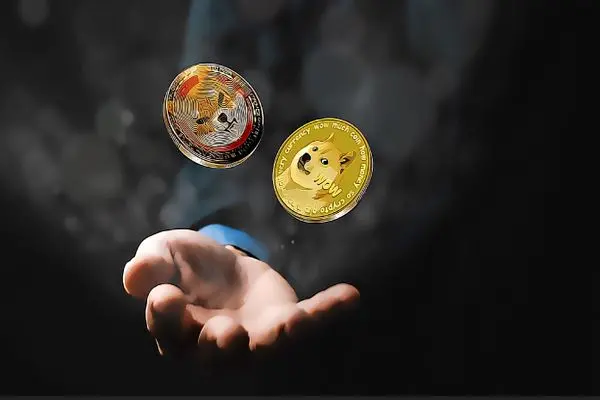 SHIB and DOGE are the most-searched cryptos words in the US.