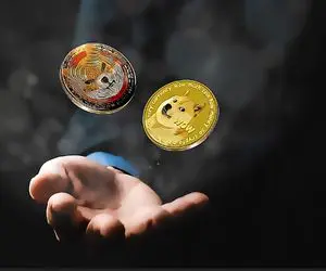 آیا SHIB و DOGE به شهرت بیت کوین و اتریوم می رسند؟