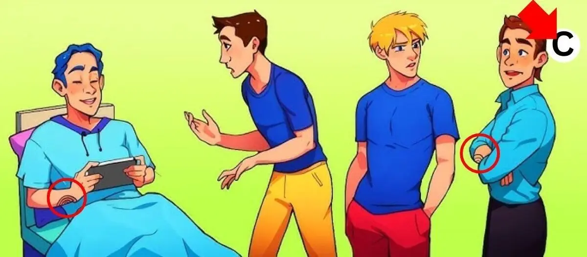 بردار