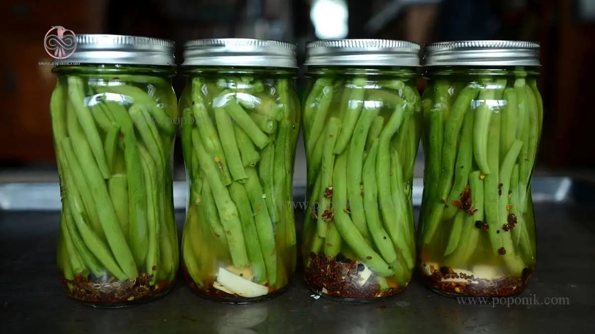 Pickled-green-beans-3