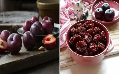 چگونه آلو سیاه را در خانه خشک کنیم؟/ راهنمای گام به گام و آسان برای مبتدی ها