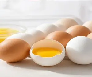 قیمت تخم مرغ امروز 8 مهر 1405 / افزایش نرخ تخم مرغ با گرانی سیمرغ در کدال