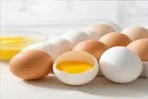 قیمت تخم مرغ امروز 8 مهر 1405 / افزایش نرخ تخم مرغ با گرانی سیمرغ در کدال