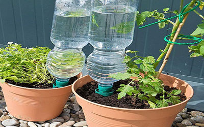 ایده های خلاقانه؛ ساده ترین روش آبیاری قطره ای گیاهان با بطری های پلاستیکی آب معدنی