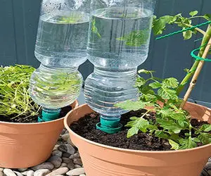 ایده های خلاقانه؛ ساده ترین روش آبیاری قطره ای گیاهان با بطری های پلاستیکی آب معدنی