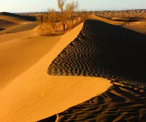 حـــــادثه مرگبــار در کـویر «ریگ جن»