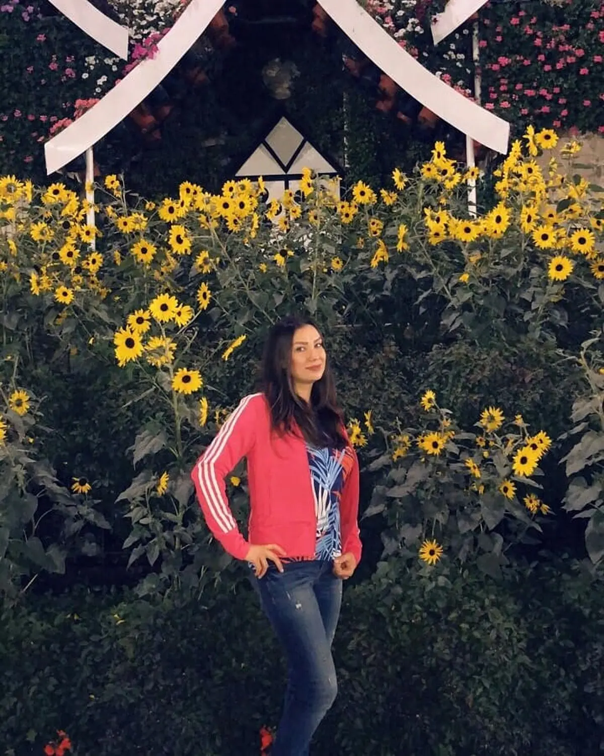 mona_ardalan67_1549050491_3