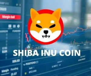 شیبا اینو قدم گذاری در مسیری انفجاری!