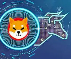 درهایی جدید برای شیبا باز شد؟