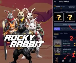 کارت های راکی رابیت (ROCKY RABBIT) امروز شنبه 10 شهریور + آموزش واردکردن