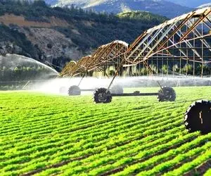 کشاورزی نوین؛ با سیستم آبیاری مدرن چند 1000 تن اسفناج رو تو 60 ثانیه آبیاری کردن