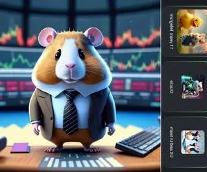 کارت های همستر کامبت امروز جمعه 9 شهریور + آموزش وارد کردن