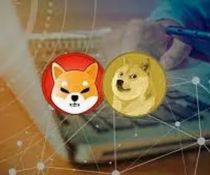 خبری شگفت انگیز برای کاربران شیبااینو و دوج  کوین!