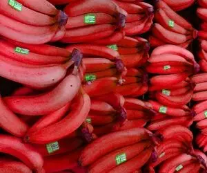 موز لاکچری ناقابل کیلویی 180 هزار تومان !