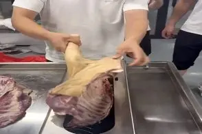 فرآوری گوسفند؛ گوسفندا رو مثله کردن با گوشت و استخون انداختن تو دستگاه رنده کن له کرد