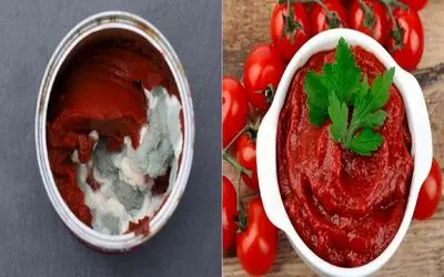 چرا رب‌ کپک میزنه؟! چند تا راه ساده برای نجات رب کپک‌ زده و راه های جلوگیری از آن