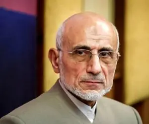 سخنوری میرسلیم: سوخت تقریبا مجانی است هزینه ای برای کاهش مصرف خودروها انجام نمی شود!