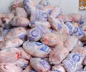 قیمت جدید مرغ در بازار 