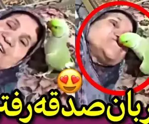 قربون صدقه رفتن و ابراز محبت طوطی به مادربزرگ!