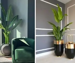 گلدان بزرگ کنار سالنی / اکسسوری‌ای خوشگل و خاص برای دکوراسیون های منحصر به فرد
