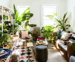 از دکور خونه‌ت خسته شدی؟ خب بیا ترکیب رنگ سبز و قهوه‌ای رو امتحان کن