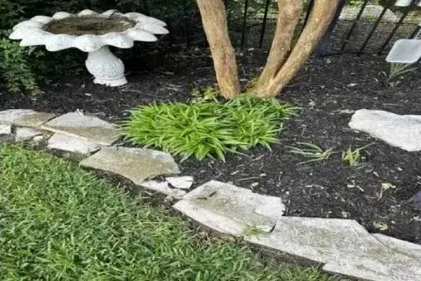 بازی فکری؛ اگه فکر میکنی دید و بیناییت در حد لالیگاست مار استتار کرده پارک رو چیدا کن