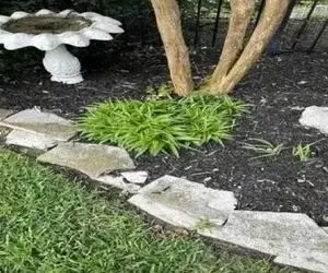 بازی فکری؛ اگه فکر میکنی دید و بیناییت در حد لالیگاست مار استتار کرده پارک رو چیدا کن