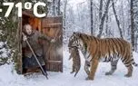 حیات وحش مصنوعی؛ ببر درمونده توله یخ زده اشو میده پیرزن احیا کنه