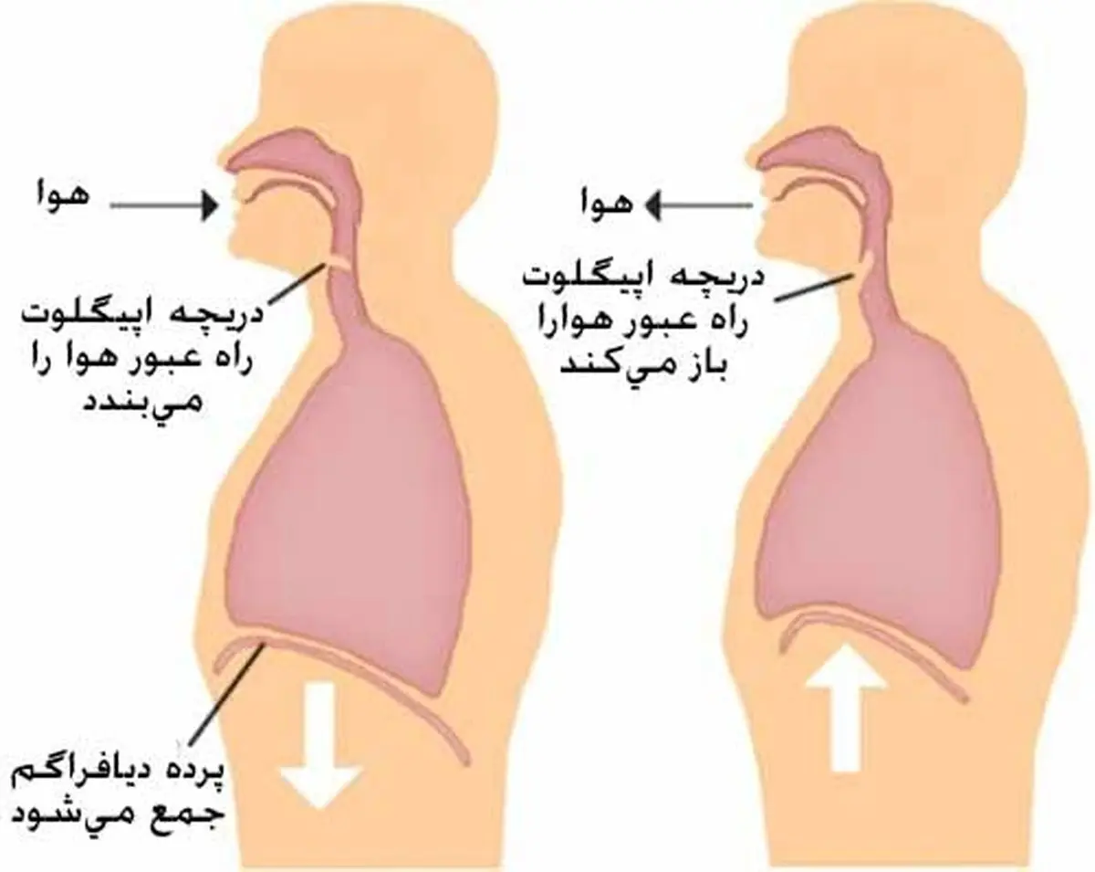 سک2