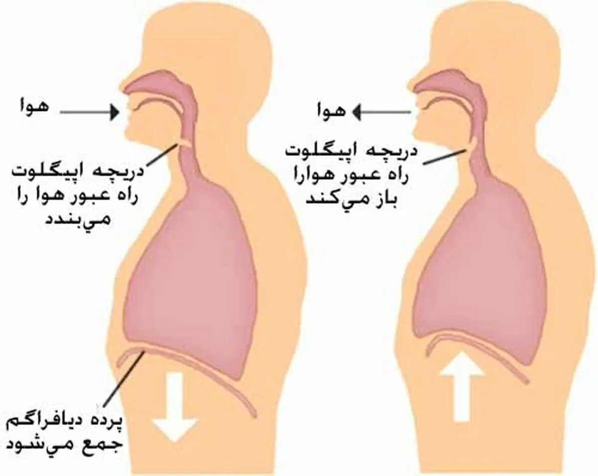 سک2