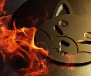 شیبااینو چه چیزیی را از دست داد؟!