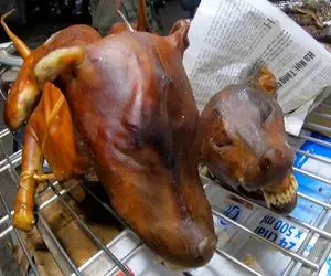 کباب سگ؛ بعد جفتگیری از 8میلیون سگ توی کوره آتیش کبابیش میکنن اسلایسی میفروشن