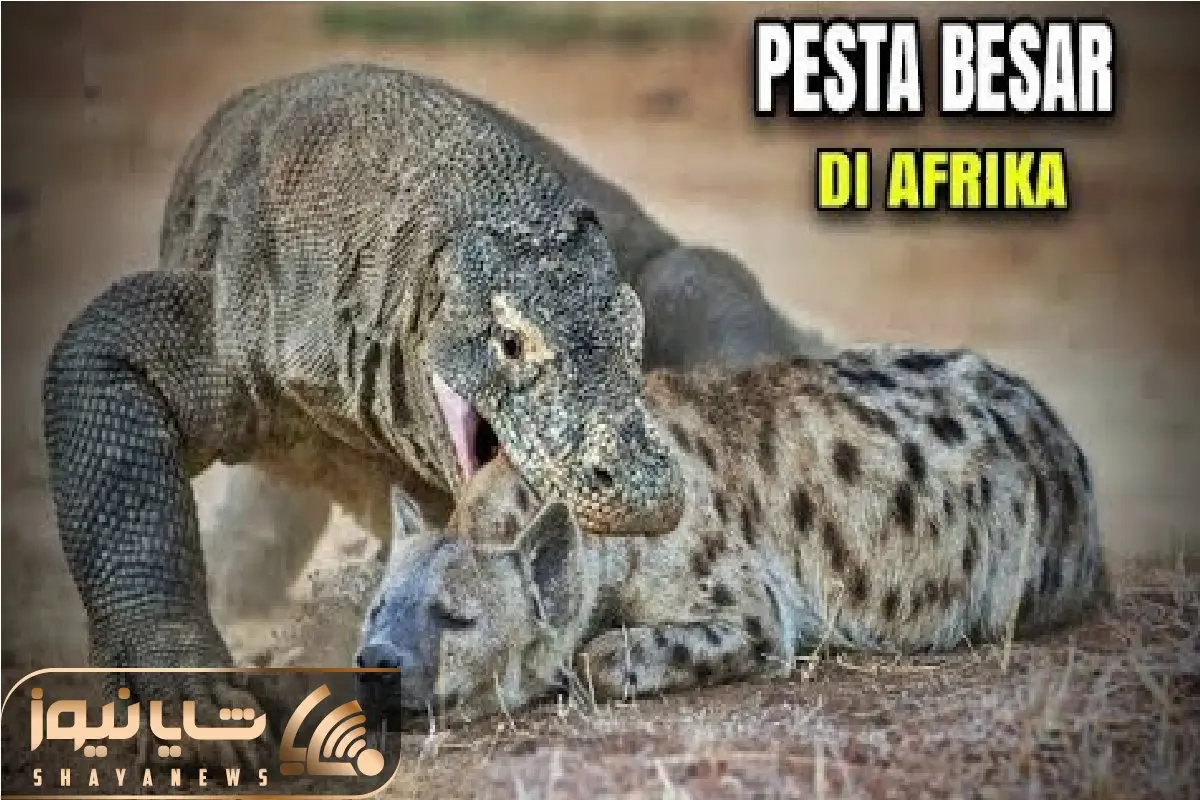 مستند حیات وحش؛ کومودو کریه المنظر کوچیک تا بزرگ جنگل لوله میکنه تو حلقش