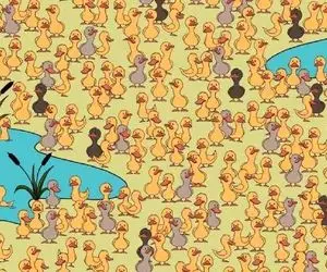 بازی فکری؛ جوجه گمشده بین 800000000000 جوجه اردک‌ زشت رو پیدا کن و مدالو بغل کن