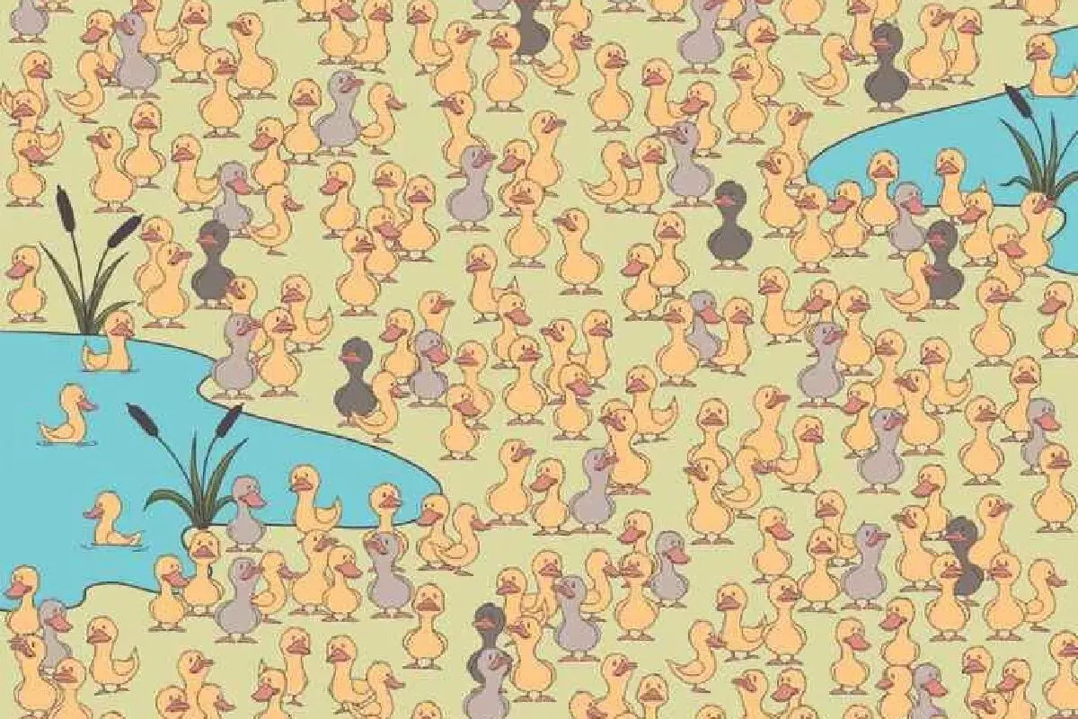 878