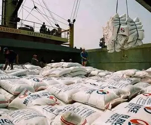 نامه واردکنندگان برنج به رئیس جمهوری/ اعتراض تاجران برنج به چیست؟