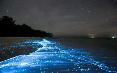 شگفتی های طبیعت؛ سواحل شگفت انگیز جزیره وادهو در مالدیو با نور های آبی درخشان